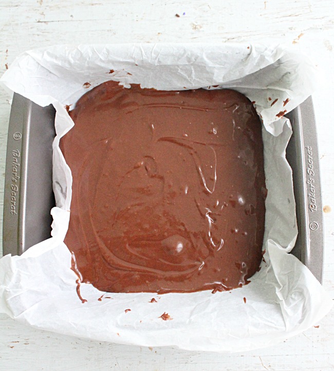 Nutella Brownies |Big Green House
