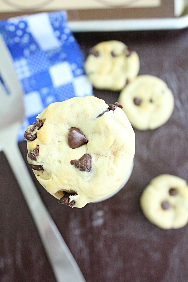 Honey Chocolate Chip Cookies | Big Green House