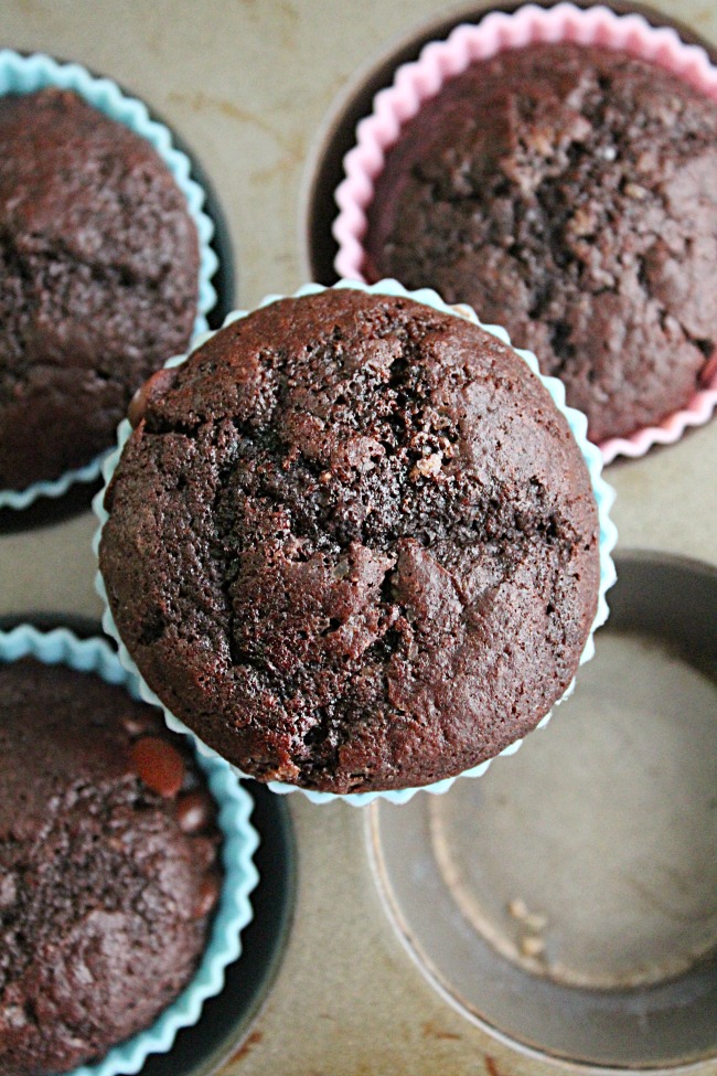 Double Chocolate Muffins | Big Green House #doublechocolate #chocolate #muffins