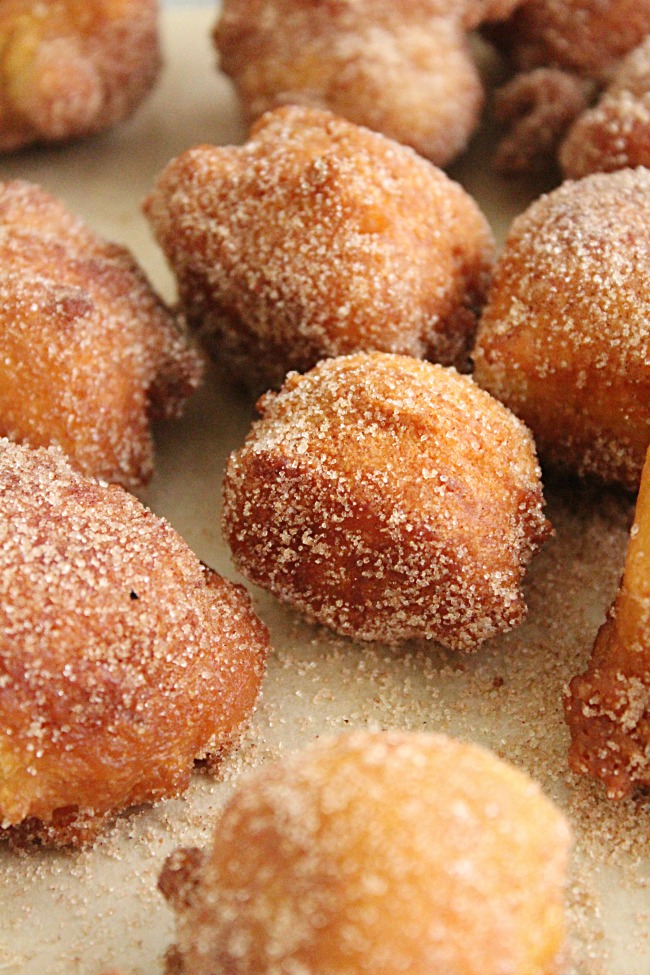 Vermont Doughnut Holes- Big Green House #doughnuts #donuts #doughnutholes #fried