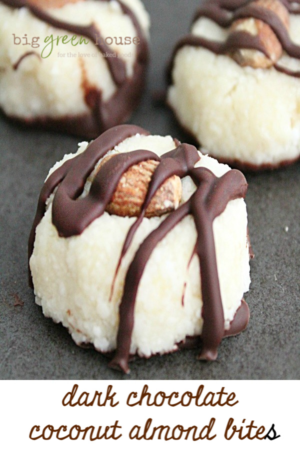 Dark Chocolate Coconut Almond Bites- Big Green House #darkchocolate #coconut #almonds #nobake #dessert