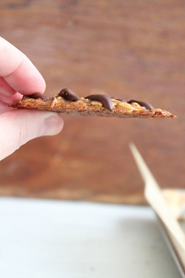 Florentine Cookies- Big Green House #cookies #dessert #abiggreenhouseblog #chocolate #oatmeal #florentines