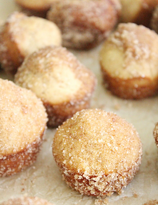 Mini Cinnamon Sugar Doughnut Muffins- Big Green House #biggreenhouseblog #cinnamon #sugar #cinnamonsugar #doughnut #muffins #minimuffins