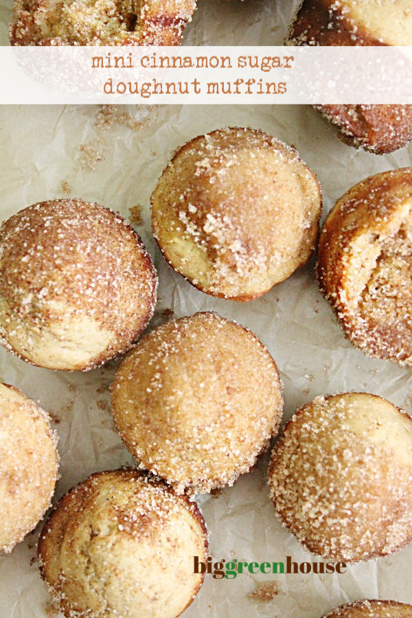 Mini Cinnamon Sugar Doughnut Muffins- Big Green House #biggreenhouseblog #cinnamon #sugar #cinnamonsugar #doughnut #muffins #minimuffins
