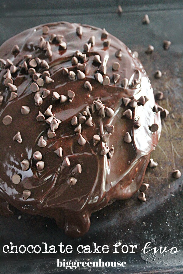 Chocolate Cake for Two- Big Green House #chocolatecake #cake #chocolate #dessert #fortwo #biggreenhouseblog