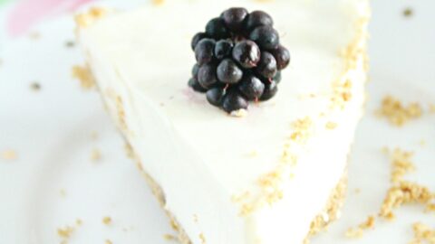 Easy No Bake Cheesecake