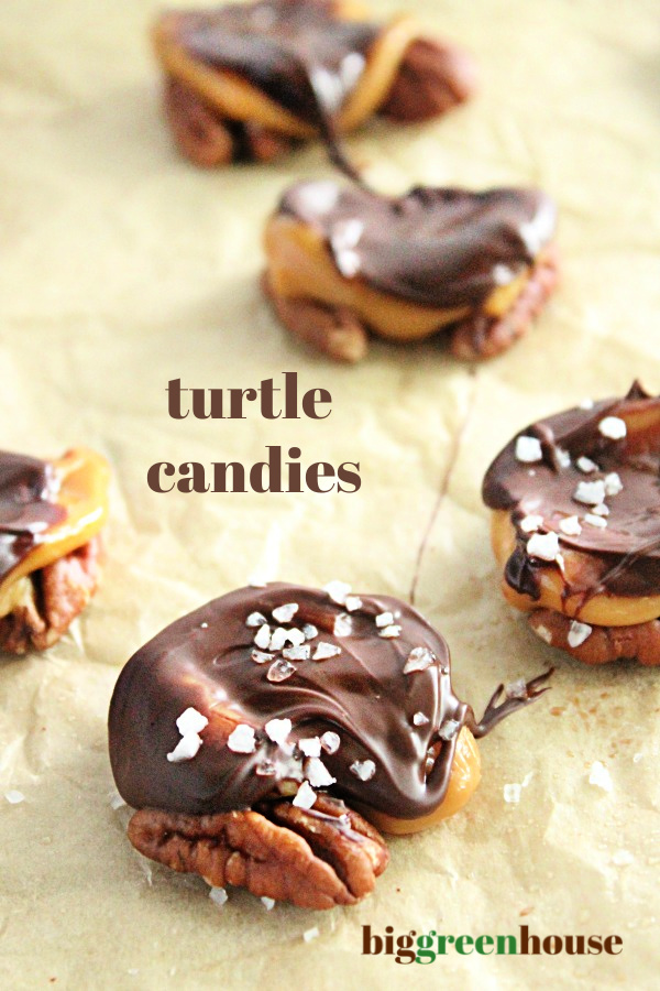 Turtle Candies - Big Green House #candies #turtles #biggreenhouseblog