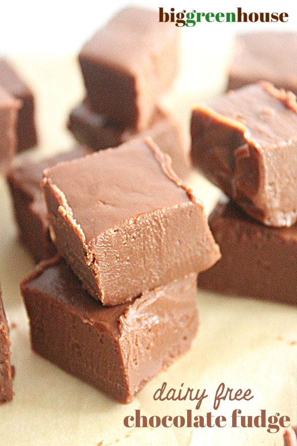 Dairy Free Chocolate Fudge- Big Green House #biggreenhouseblog #fudge #dairyfree #chocolate #nobake #dessert