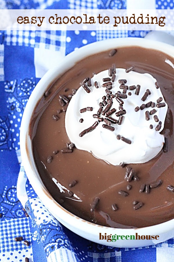 Easy Chocolate Pudding- Big Green House #pudding #chocolate #dessert #nobake