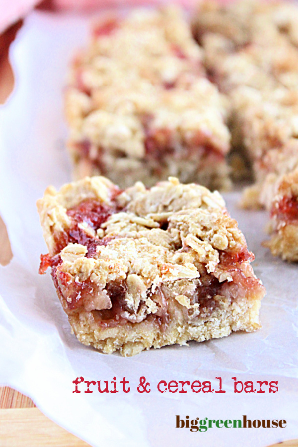 Fruit and Cereal Bars- Big Green House #fruit #cereal #oats #bars #biggreenhouseblog
