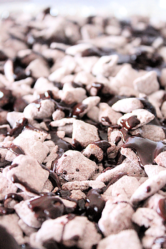 Scotcheroos Muddy Buddies- Big Green House #biggreenhouseblog #scotcheroos #muddybuddies #nobakedessert