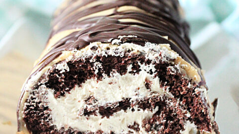 Chocolate Peanut Butter Roll Cake