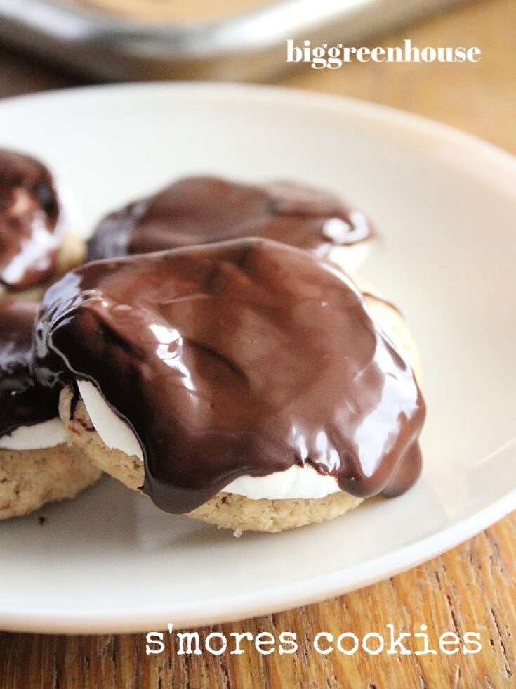S'mores Cookies- Big Green House