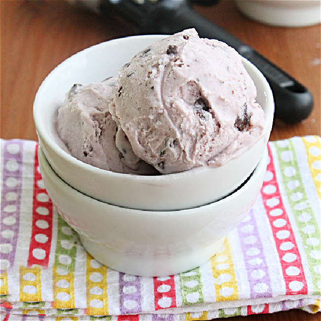 No Churn Blackberry Dark Chocolate Chip Ice Cream