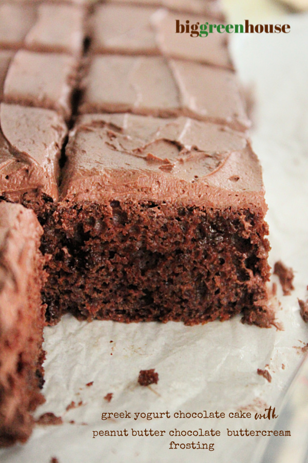 Greek Yogurt Chocolate Cake with Peanut Butter Chocolate Buttercream Frosting - Big Green House