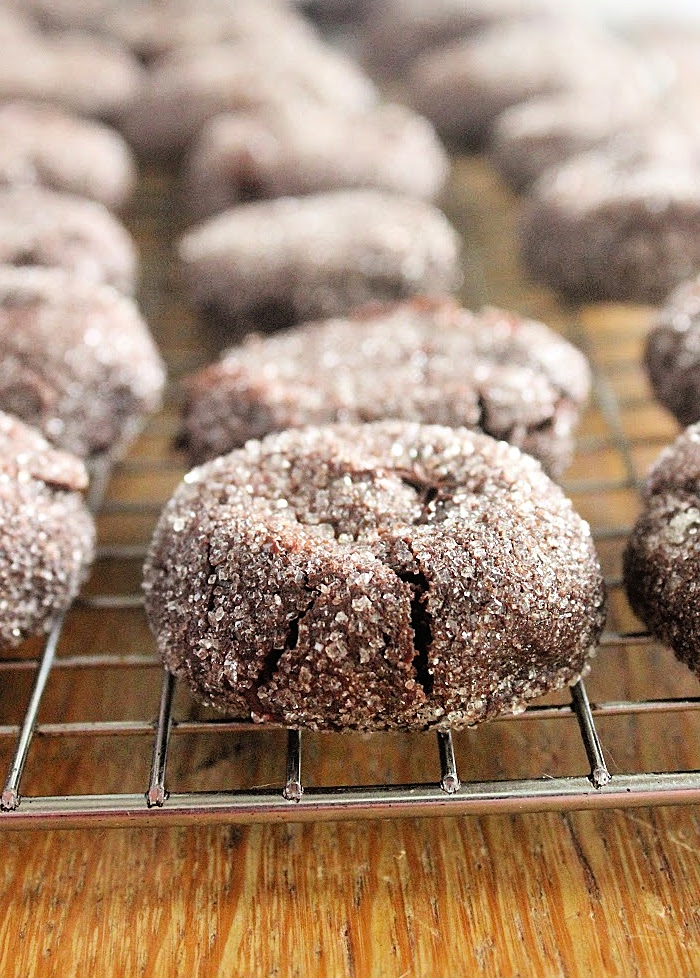 Double Dark Chocolate Cookies- Big Green House