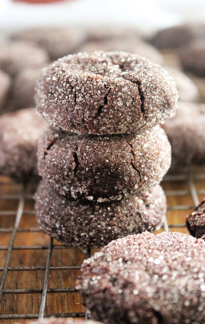 Double Dark Chocolate Cookies- Big Green House