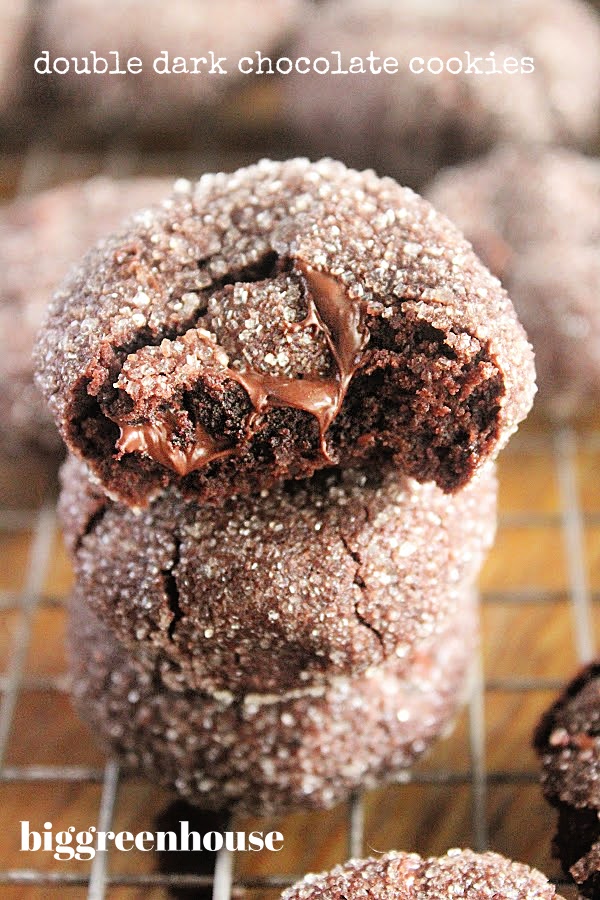 Double Dark Chocolate Cookies- Big Green House
