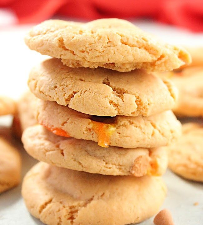 Butterscotch Pudding Cookies- Big Green House