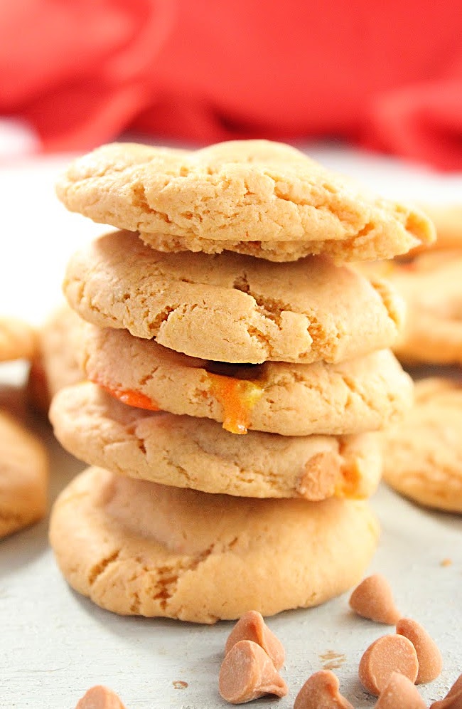 Butterscotch Pudding Cookies- Big Green House