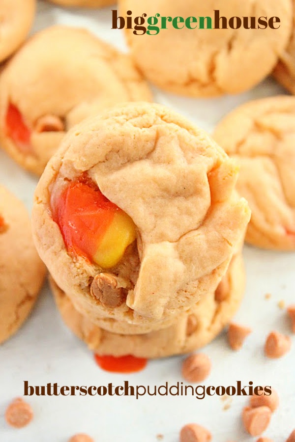 Butterscotch Pudding Cookies- Big Green House