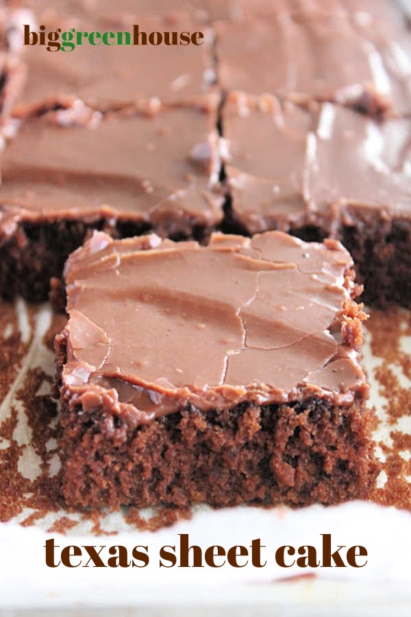Texas Sheet Cake- Big Green House