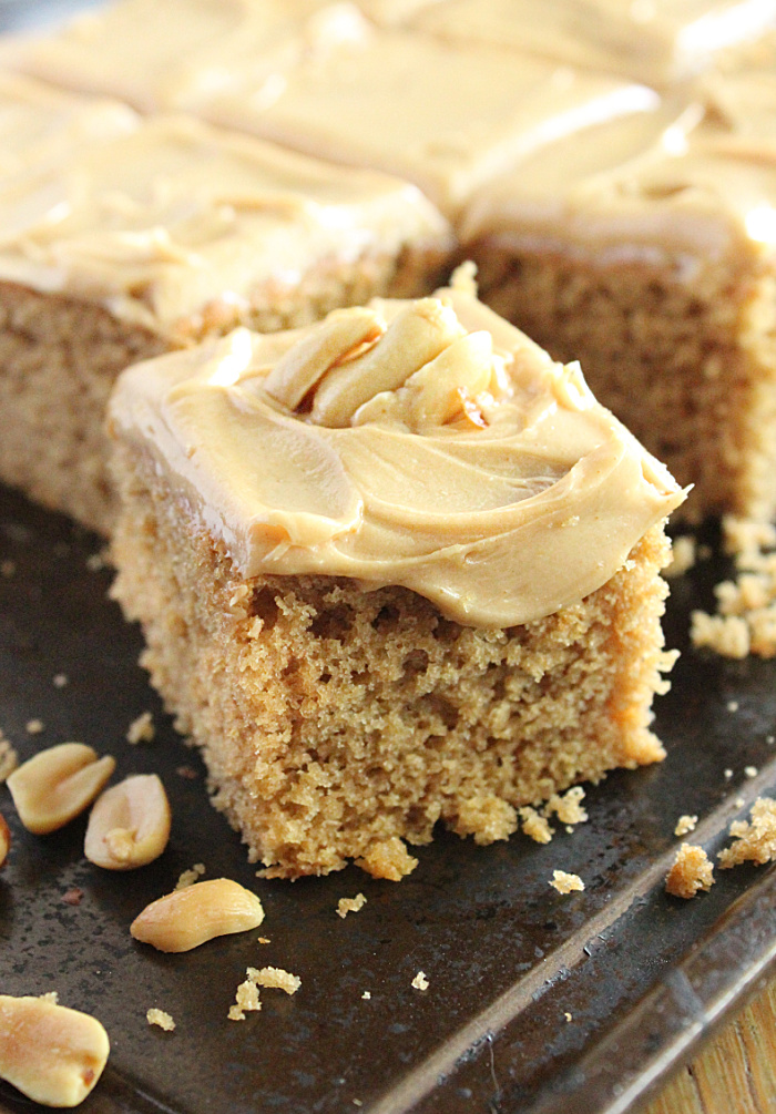 Peanut Butter Snack Cake- Big Green House