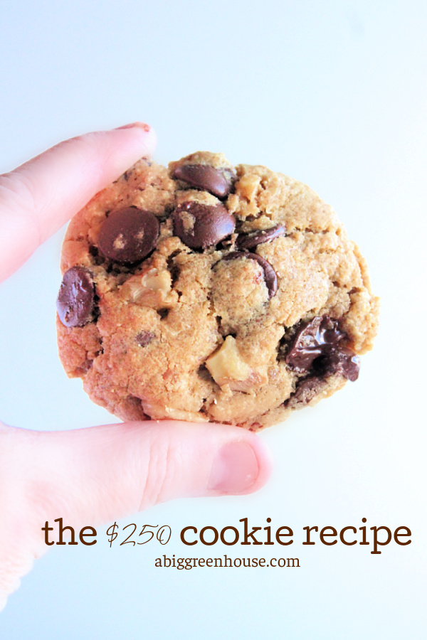 The $250 Cookie Recipes- Big Green House