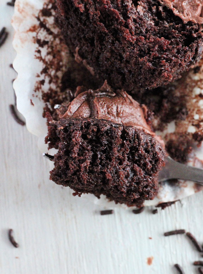 Two Chocolate Cupcakes- Big Green House