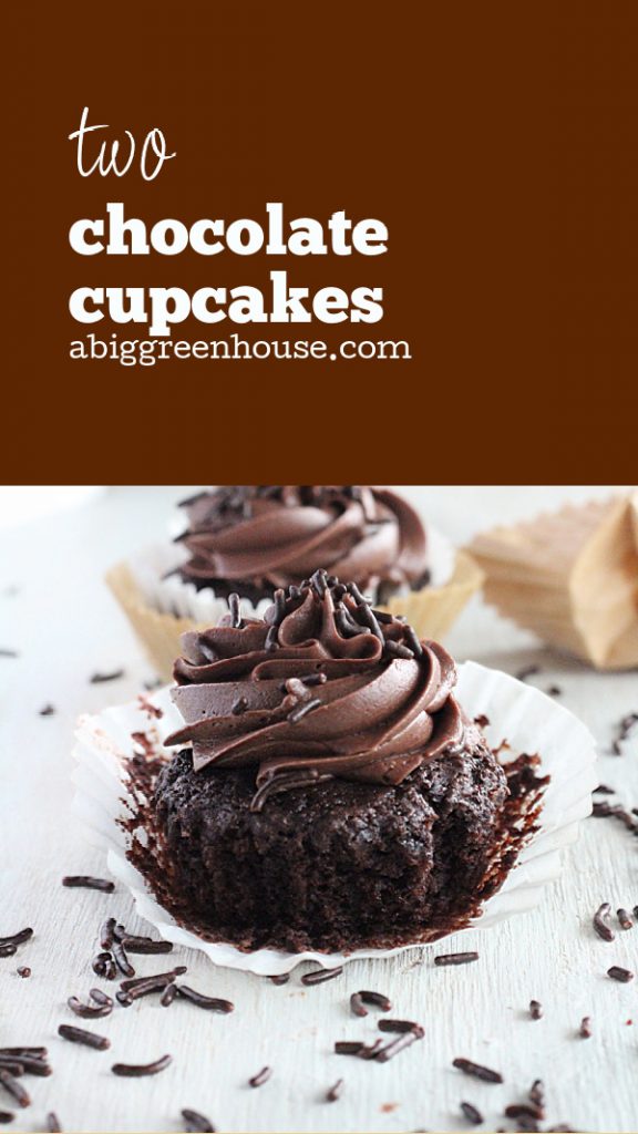 Two Chocolate Cupcakes- Big Green House