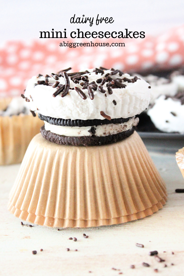 Dairy Free Mini Cheesecakes- Big Green House