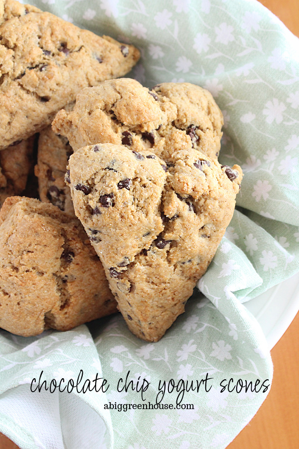 Chocolate Chip Yogurt Scones- Big Green House