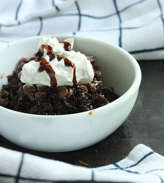 Double Chocolate Dump Cake- Big Green House