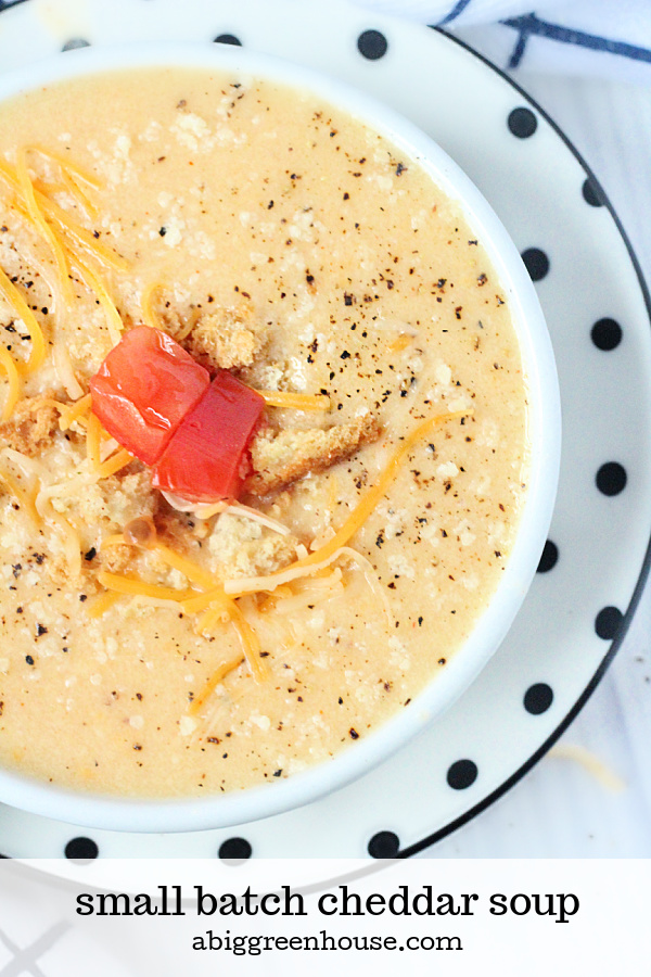 Small Batch Cheddar Soup- Big Green House