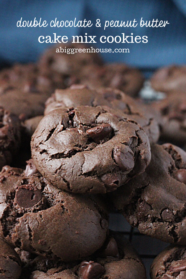 Double Chocolate & Peanut Butter Cake Mix Cookies- Big Green House