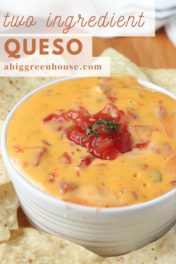 Two Ingredient Queso- Big Green House
