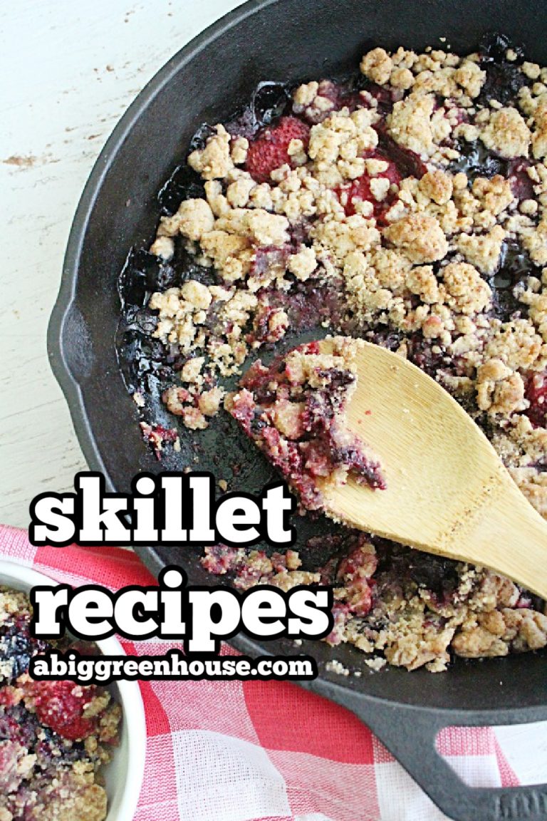 Recipes to Make in Your Skillet