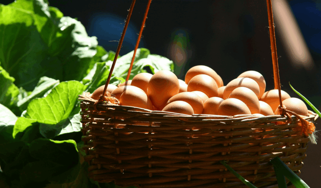 Eggs