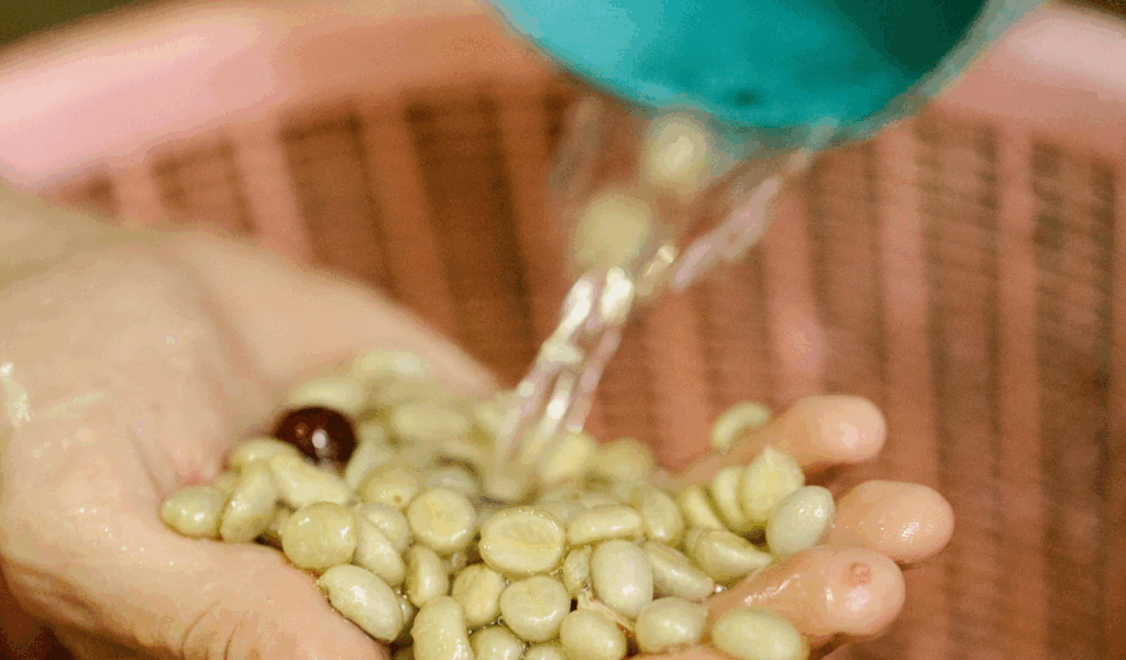 How to minimize digestibility issues