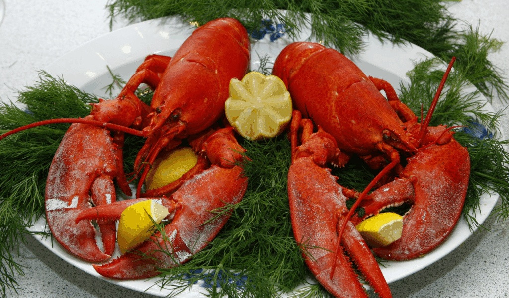 Lobster