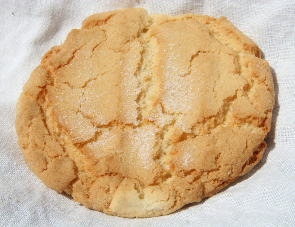 Sugar Cookie