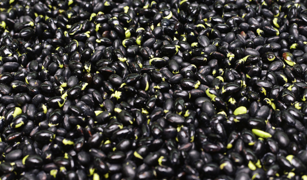 Top 5 canned beans to buy (and why)