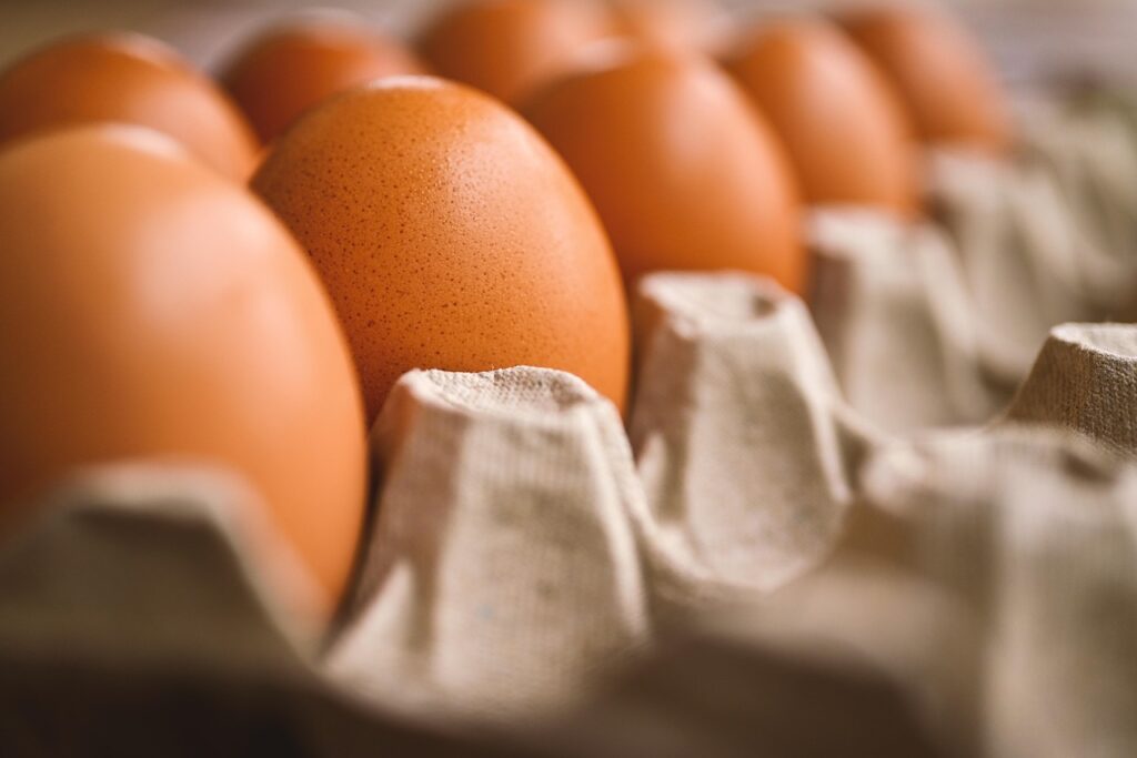 Eggs in a tray
