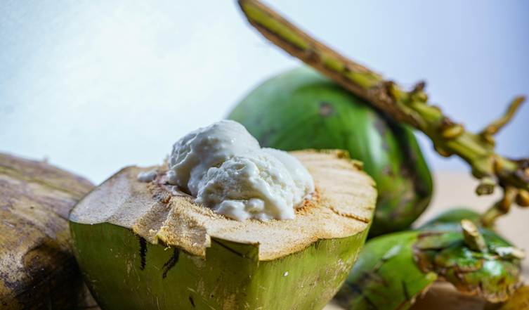 Coconut Sorbet