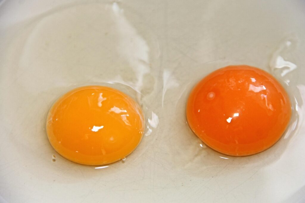 Egg yolks