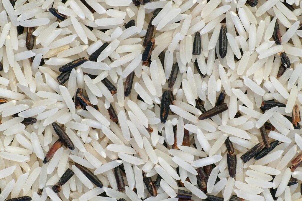 Rice