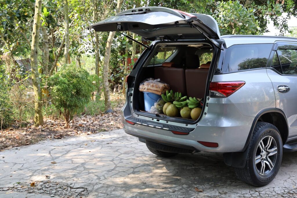 Food in car
