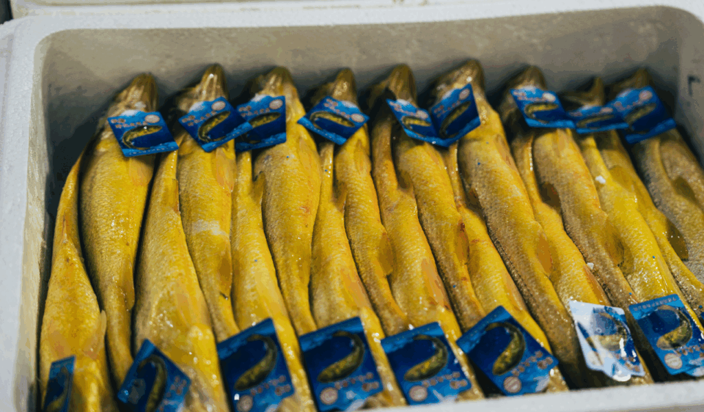 Stock freeze-dried or powdered proteins