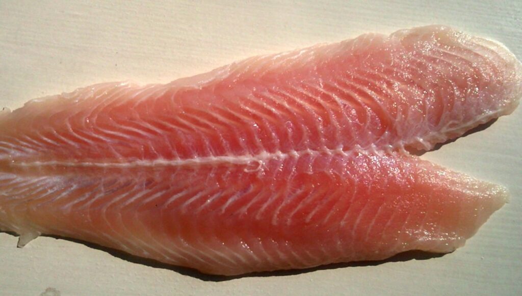 Fillet fish cut