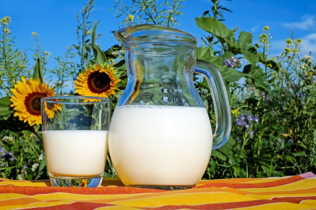 Milk jug